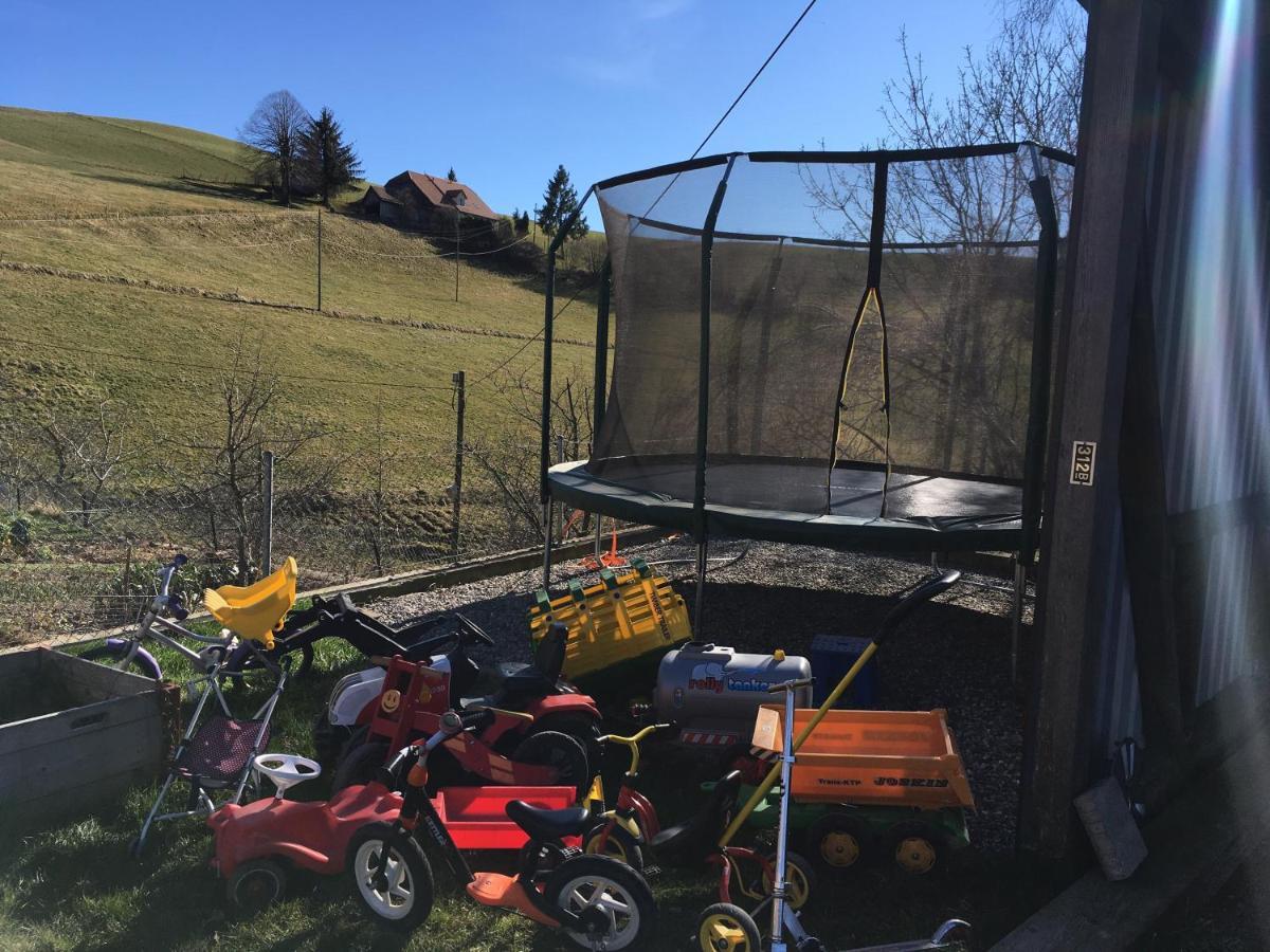 3,5 Zimmerferienwohnung Schwalbenaescht Rueeggisberg Zewnętrze zdjęcie